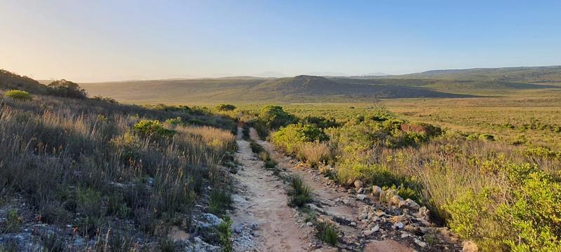 0 Bedroom Property for Sale in Albertinia Western Cape